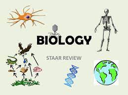 The staar review bundles are designed specifically for the staar exam. Biology Staar Review Ppt Video Online Download