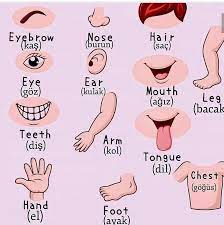 pin auf turkish english learning