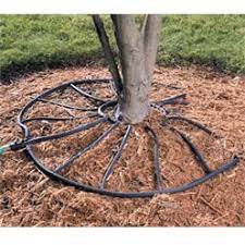 What Is The Most Efficient Drip System Setup For Irrigating A Tree In The Desert Gardening Landscaping Stack Exchange