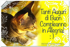 Cdb Cartoline Per Tutti I Gusti Cartolina Per Gli Amanti Dei Gatti Tanti Auguri D Amanti Dei Gatti Buon Compleanno Compleanno Gatti