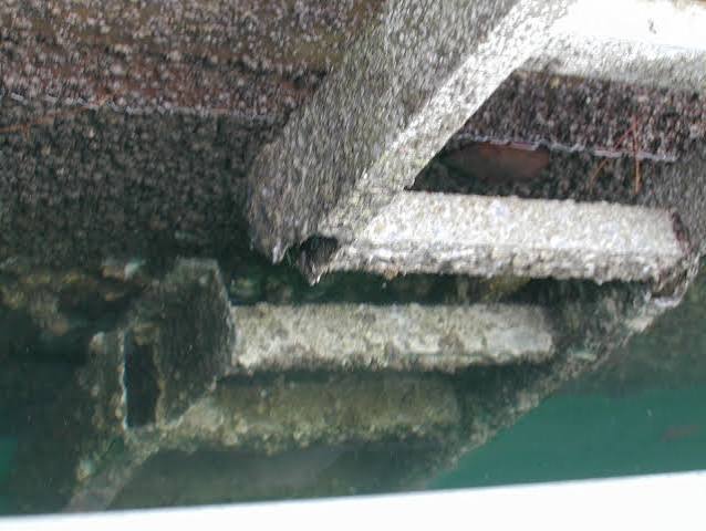 Corrosion Resistance Evaluations in Saint Augustine, FL
