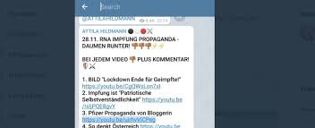 Attila klaus peter hildmann (* 22. Claudia Gamon Im Visier Der Querdenker Rund Um Attila Hildmann Coronavirus Vol At