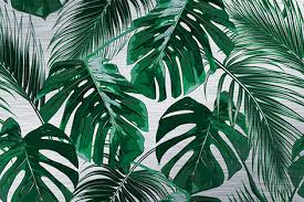 Dibond Kunstwerk Aluminium Schilderij Tropical Palm Leaves Van Mondiart Te Koop Tropische Achtergrond Computer Achtergrond Wallpaper Achtergronden