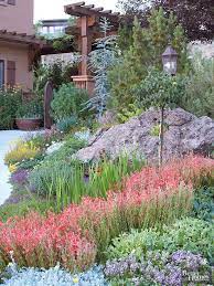 Xeriscaping Is The Latest Gardening Buzz Word What Does It Mean Xeriscape Front Yard Landscaping Drought Tolerant Landscape