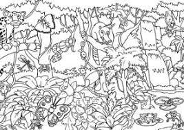 It is one huge rainforest with a massive variety of animals and insects. Amazon Rainforest Coloring Pages Coloring4free Com