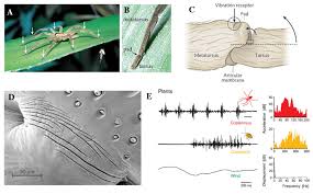 Most importantly, they have a comprehensive termite protection that prevents structural damage through baiting and barrier. Sustainability Free Full Text Rethinking Filter An Interdisciplinary Inquiry Into Typology And Concept Of Filter Towards An Active Filter Model Html