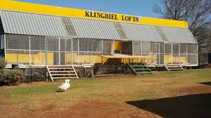 Bird Aviary For Sale Gauteng The Racing Pigeon Loft Of Marius Klingbiel Of Gauteng South Africa Remember To Visit Our Website At Www Pigeon Pigeon Loft Racing Pigeon Lofts Racing Pigeons