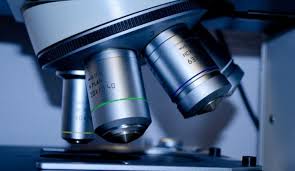 Nah, inilah pertanyaan yang harus anda cari tahu. 15 Cara Menggunakan Mikroskop Dan Bagiannya Tokopedia Blog