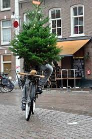 pin von carlloer auf finding the perfect tree weihnachten feiertage niederlande holland holland