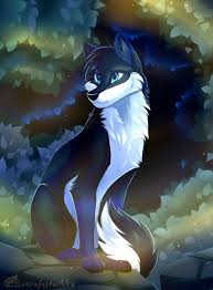 Experiment with deviantart's own digital drawing tools. Cute Furry Anime Wolf Novocom Top