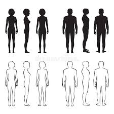 It may be because of an underlying medical condition, foods and drinks that you ingest, trauma, stress, etc. Man Body Anatomy Front Back Side Stock Illustrations 147 Man Body Anatomy Front Back Side Stock Illustrations Vectors Clipart Dreamstime
