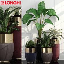 Plant 47 Longhi Godwin 3d Model Plant Decor Plant Decor Indoor Plants