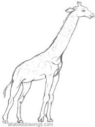 We did not find results for: Wildlife Pencil Drawings Animals From The Forest