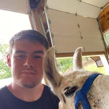 What spark plugs do you run in your car?