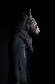 Top 10 Animals Dressed As Human Beings Unique Blog Pet Portraits Animals Animal Masks