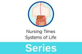 Gastrointestinal Tract 6 The Effects Of Gut Microbiota On Human Health Nursing Times