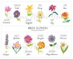 When it comes to buying birthday there are lot of flowers you can use for birthday decorations, bouquets etc. Watercolor Birth Flowers Digital Download Monthly Flowers Etsy