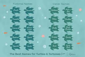 Browse the list of top 100 cute names, including charlotte and christina 100 Names For Pet Turtles And Tortoises