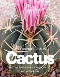 The number, shape, size, and arrangement of the spines are often useful in identifying the cactus. The Gardener S Guide To Cactus Gnv64 By Martin Julia Issuu