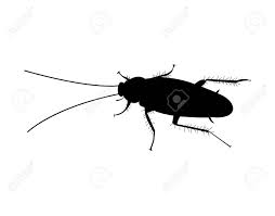 Simple Black Cockroach Silhouette Royalty Free Cliparts Vectors And Stock Illustration Image 98665914 Almost files can be used for commercial. simple black cockroach silhouette