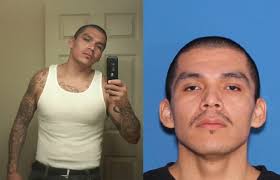 Cottonwood police searching for stabbing suspect