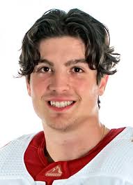 Massimo Rizzo Hockey Stats and Profile at hockeydb.com