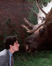 10 Wild Facts About Northern Exposure Northern Exposure Tv Show Northern Exposure Favorite Tv Shows