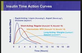 15 Experienced Insulin Peak Action Chart