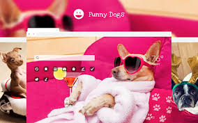 Funny Dogs Puppies Amusing Pet Wallpapers Download, share or upload your own one!