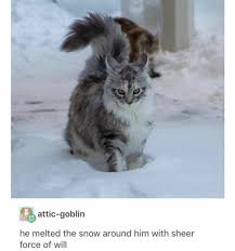 59 Of Today S Freshest Pics And Memes Funny Animal Memes Cute Funny Animals Funny Animals