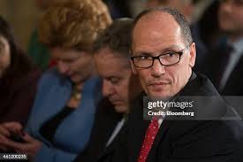 60 Sperling Stock Photos, High-Res Pictures, and Images