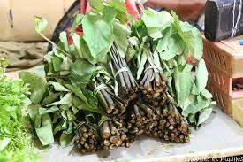 Balade Au Marche De Port Louis Ile Maurice Ile Maurice Cuisine Creole Plat Principal