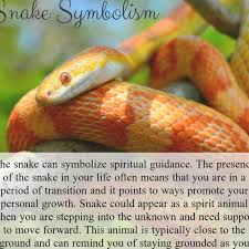 Pin By Scelfleah On Stuff I Need To Know In 2020 Snake Spirit Animal Animal Meanings Spirit Animal
