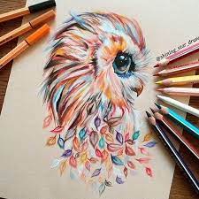 Super Cute Colourful Owl By Shining Star Draws Follow Justartsogram For More Cool Art Owls Drawing Color Pencil Drawing Drawings You can find my creative process on my. color pencil drawing