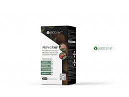 Image result for puklice švestková obrázek