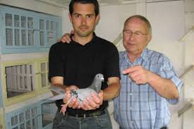Like to gamble and losing money. The Bull System Made Easy Winning Pigeon Racing And Racing Pigeons Strategies Pigeon Insider