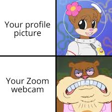 1080 x 1080 profile pictures anime : Your Profile Picture Vs Your Zoom Webcam Meme Ahseeit