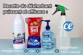 Comment Tuer Les Mauvaises Herbes Et Empecher Qu Elles Repoussent Mauvaises Herbes Desherbant Naturel Desherbants Faits Maison