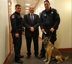 Tika, bomb-sniffing dog, dies