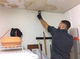 Find out with a mold inspection. Mold Remediation Company Best Mold Inspection Katy Tx