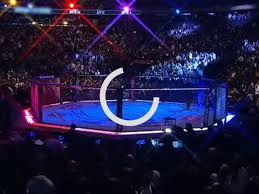 So our goal is to provide free live coverage for all fights. Conor Mcgregor Vs Dustin Poirier Live Stream Free Links To Ufc 257 Fight Spread Online Amid Hyper Piracy The Independent