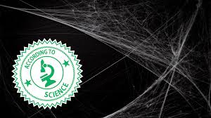 Email finding dust in your home is no fun, and it often seems that no matter how much you clean, it keeps coming back. Why Are Cobwebs In Your House The Scientific Reason Explained