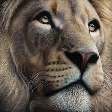 Kevin Richardson Lionwhisperer On Instagram Fanartfriday Serious Talent Out There Great Works Like This Piece B Endangered Animals Animals Wildlife Artists