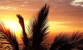 Deep Sleep Music Delta Brain Waves Mp3 Music2relax Com