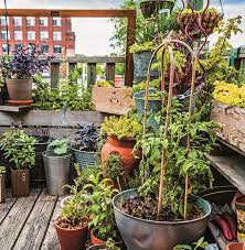Rooftop Container Garden Diy Raised Garden Container Gardening Diy Container Gardening