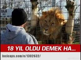 480 x 360 jpeg 28kb. Galatasaray Fenerbahce Maci Sonrasi Komik Capsler Youtube