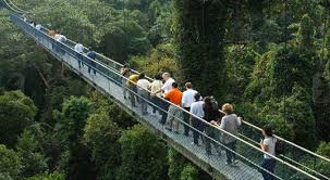 Teluk blanga is the district between pasir panjang and tanjong pagar. Gallery Of Telok Blangah Hill Park 11