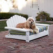 I Think Bax Needs One Of These Outdoor Dog Furniture Outdoor Pet Bed Diy Pet Bed