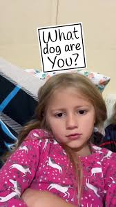 Alexis Zorn (@alexisstzorn)