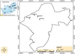 Image result for Dicoma galpinii